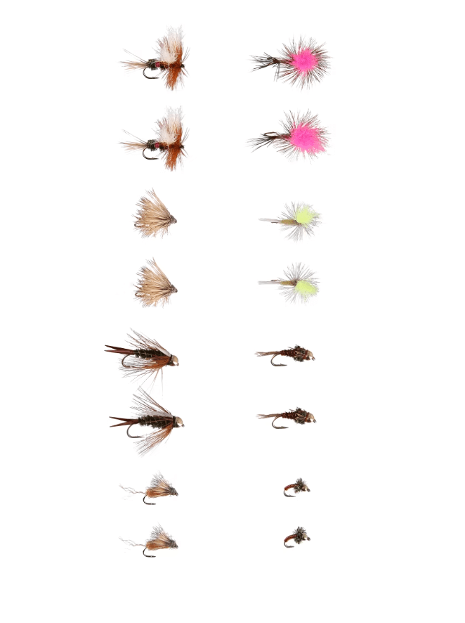 flies fishing with kids